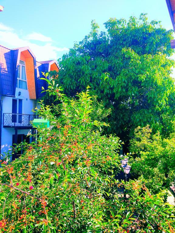 Guest House Albatros Cholponata Buitenkant foto